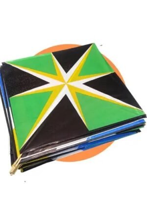 RAIA 31x31
